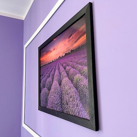 Apartament Lawendowy Wałbrzych Kültér fotó