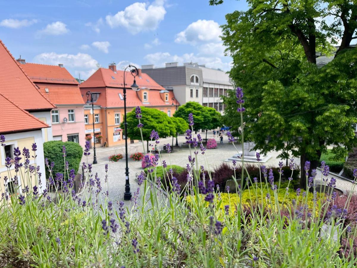 Apartament Lawendowy Wałbrzych Kültér fotó