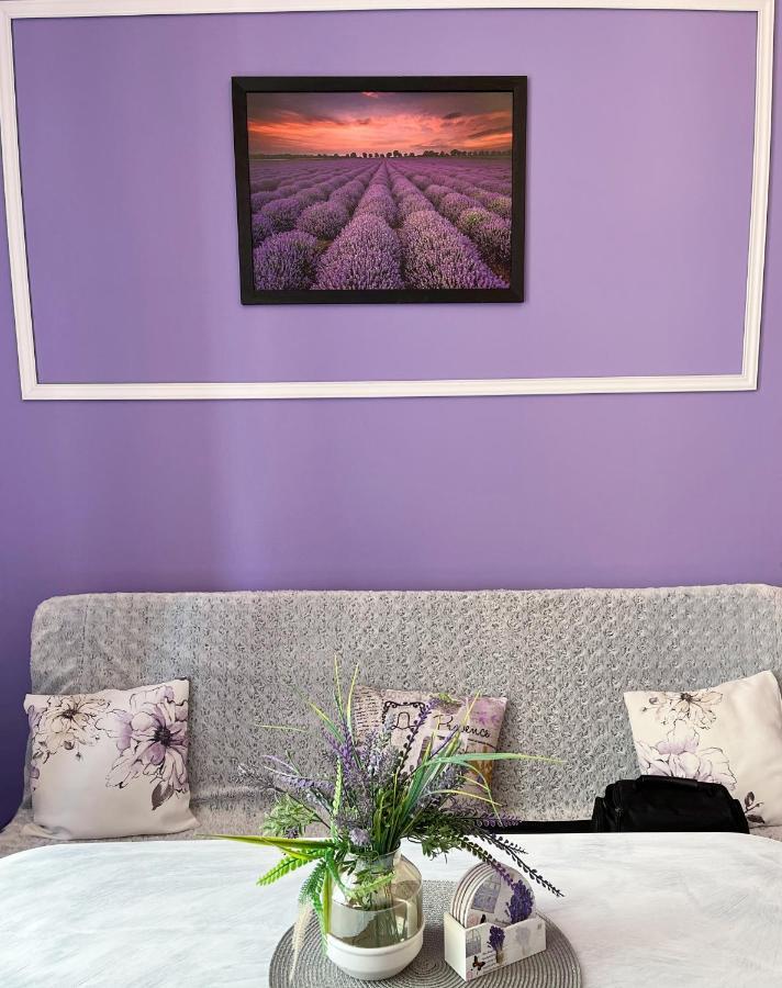 Apartament Lawendowy Wałbrzych Kültér fotó
